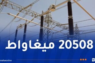 سونلغاز.. تسجيل سابع ذروة قياسية لاستهلاك الكهرباء اليوم