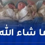 سيدة تُنجب 4 توائم في سطيف