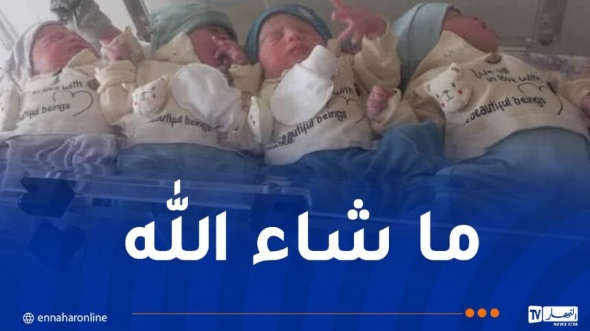 سيدة تُنجب 4 توائم في سطيف