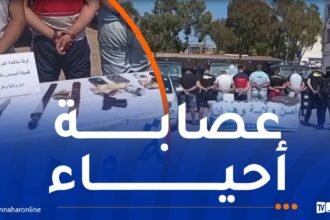 شرطة وهران توقف 6 مسبوقين وتحجز أسلحة بيضاء محظورة
