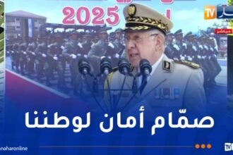 شنقريحة: التكوين الجيّد لموردنا البشري هو حجر الزاوية لبناء جيش قوي