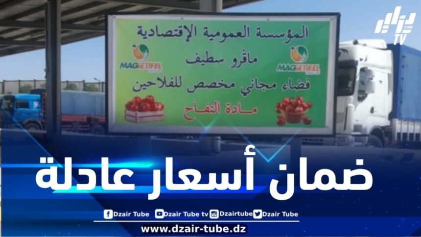 ضماناً لأسعار عادلة تثمّن مجهود الفلاح .. تحضير الفضاء المجاني بسوق ماقستيفال بسطيف