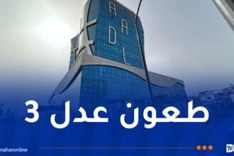 عدل 3.. هذه أسباب رفض الملفات وكيفية إرسال الطعون
