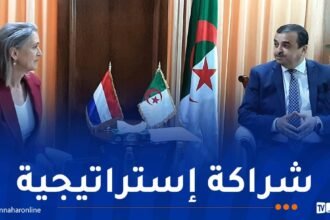 عرقاب يتباحث فرص الإستثمار والتعاون الطاقوي مع سفيرة هولندا