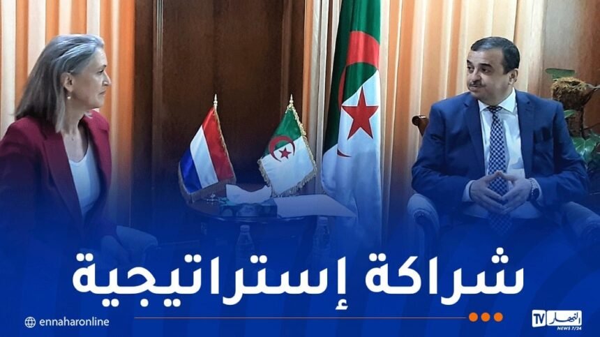 عرقاب يتباحث فرص الإستثمار والتعاون الطاقوي مع سفيرة هولندا