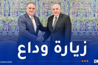 عطاف يستقبل سفير لبنان لدى الجزائر