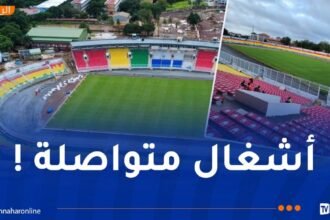 غينيا تُبعد الخضر عن كوناكري