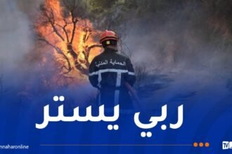 فيما تزال عملية الإخماد متواصلة.. إندلاع الحرائق عبر 9 ولايات!