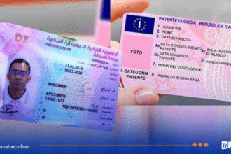 قريبا.. دولة أوروبية تعترف برخص السياقة الجزائرية