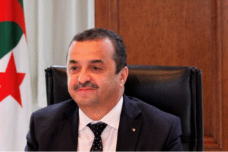 مباحثات جزائرية إيطالية لنقل الكهرباء عبر كابل بحري إلى أوروبا