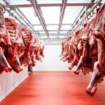 مقاضاة صاحب “غرفة تبريد” و”بوشي” بعد حجز لحوم مستوردة فاسدة بالشراقة