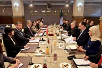 مقرمان وبرهان الدين دوران يترأسان أشغال الدورة الثانية للمشاورات السياسية الجزائرية- التركية