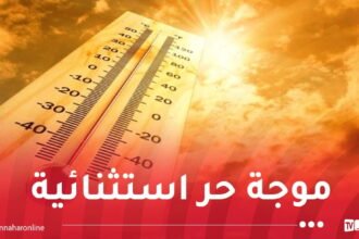 من بينها العاصمة.. موجة حر قوية تضرب 7 ولايات