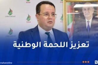 منذر بودن: الأرندي يقف سندا قويا داعما للدبلوماسية الجزائرية
