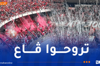 نقل مجاني لجماهير شباب بلوزداد واتحاد العاصمة إلى ملعب نيلسون مانديلا