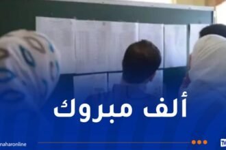 هؤلاء هم الناجحون الثلاثة الأوائل في شهادة البكالوريا