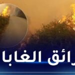 هذه الامكانيات التي تم تسخيرها لمكافحة حرائق الغابات