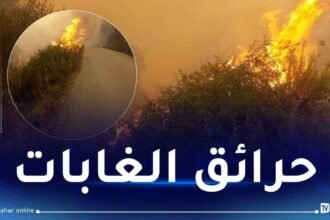 هذه الامكانيات التي تم تسخيرها لمكافحة حرائق الغابات