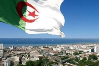 وأج: قضية صنصال شأن جزائري.. والأوامر الباريسية لن تغيّر شيئًا 