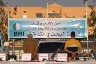 ورقلة: تفكيك شبكة متاجرة بالأسلحة النارية وتوقيف شخصين