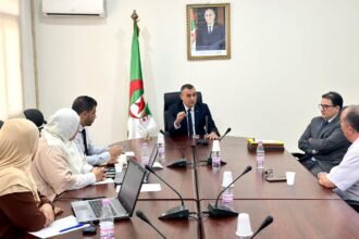 وزارة البريد.. مسابقة لشغل وظائف عليا بالقطاع
