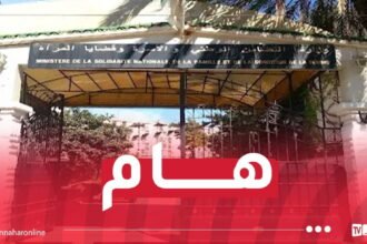 وزارة التضامن: تحويل عقود الأعوان المتعاقدين بالتوقيت الجزئي إلى التوقيت الكامل