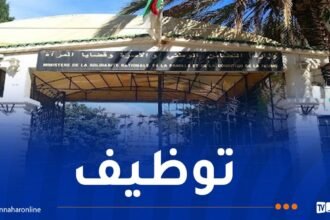 وزارة التضامن تعلن عن فتح مسابقة للتوظيف تشمل تخصصات متعددة
