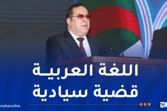 وزير الإتصال: رئيس الجمهورية يولي أهمية ورعاية خاصة للغة العربية