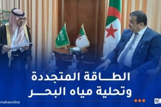 وزير الطاقة يؤكد على تعزيز التعاون مع السعودية