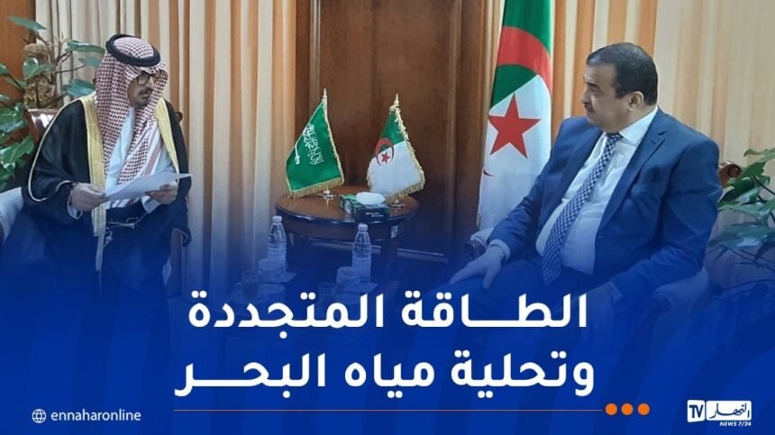 وزير الطاقة يؤكد على تعزيز التعاون مع السعودية
