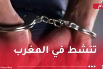 وهران.. تفكيك شبكة إجرامية وحجز أكثر من 18 كلغ “كوكايين”