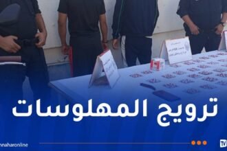وهران.. توقيف شخصين وحجز  608 قرص “بريغابلين”