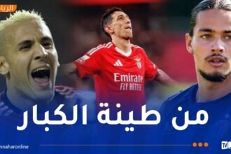يبدة يشيد بحاج موسى ويقترحه خليفةً لـ ديماريا في بنفيكا