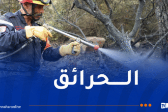 إندلاع عدة حرائق عبر هذه الولايات
