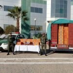 درك أم البواقي يحجز قرابة 23 ألف كيس من الشمة المقلدة ويوقف شخصًا