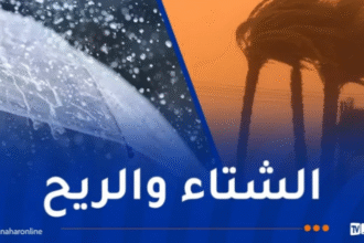 أمطار رعدية ورياح قوية في هذه الولايات