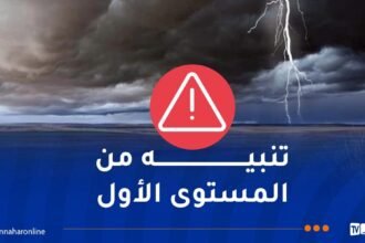 أمطار..رعود وزوابع رملية على هذه الولايات