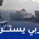 إجلاء 20 عائلة من منطقة الشريعة بالبليدة جراء الحرائق