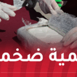 إحباط مخطط إجرامي لتمرير شحنة مخدرات قادمة من المغرب!