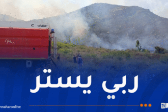 إندلاع 3 حرائق في تيزي وزو