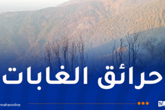 إندلاع حرائق في غابات البليدة وتيبازة اليوم