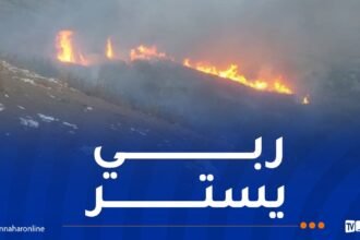 إندلاع حريق بمنطقة بن سعدة في البليدة