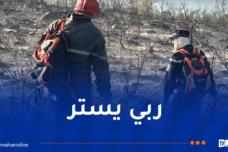 إندلاع عدة حرائق عبر هذه الولايات