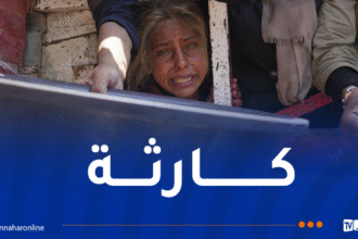 الأمم المتحدة تعلن رسميا تفشي المجاعة بغزة
