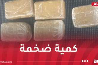 الأمن يحجز 2 طن من القنب الهندي و5 ملايين قرص مهلوس!