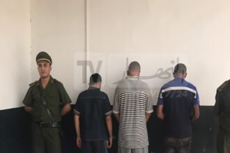 الإطاحة بشبكة دولية مختصة في التهريب والمتاجرة بالمخدرات