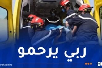 البويرة.. وفاة شخص بصعقة كهربائية بقرية تزروت