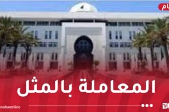  التأشيرات التي تُمنح لحاملي جوازات السفر الفرنسية الدبلوماسية..هذا ما قررته الجزائر