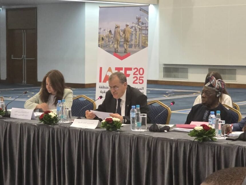 الجزائر تستعد لاحتضان أكبر معرض للتجارة البينية الإفريقية.. وزراء ومسؤولون يشرفون على التحضيرات