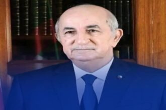 الرئيس تبون يعيّن سيفي غريب وزيرا أول بالنيابة خلفا لنذير العرباوي